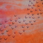 flystitch1